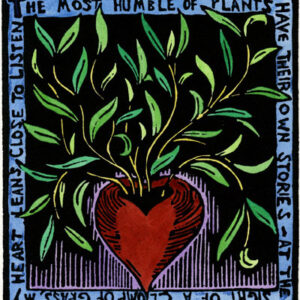 Most Humble of Plants, The