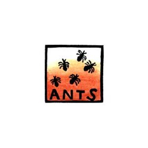 Ants