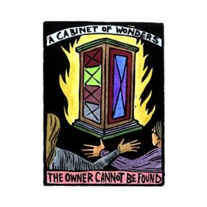 Cabinet Of Wonders, The Owner Cannot Be Found, A