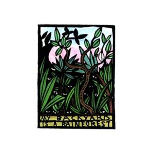 My Backyard Is A Rainforest